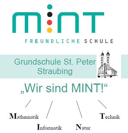 MINT PDF Flyer